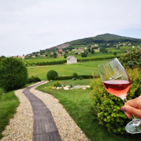 Roze Vendeghaz Hotel Villany Luaran gambar